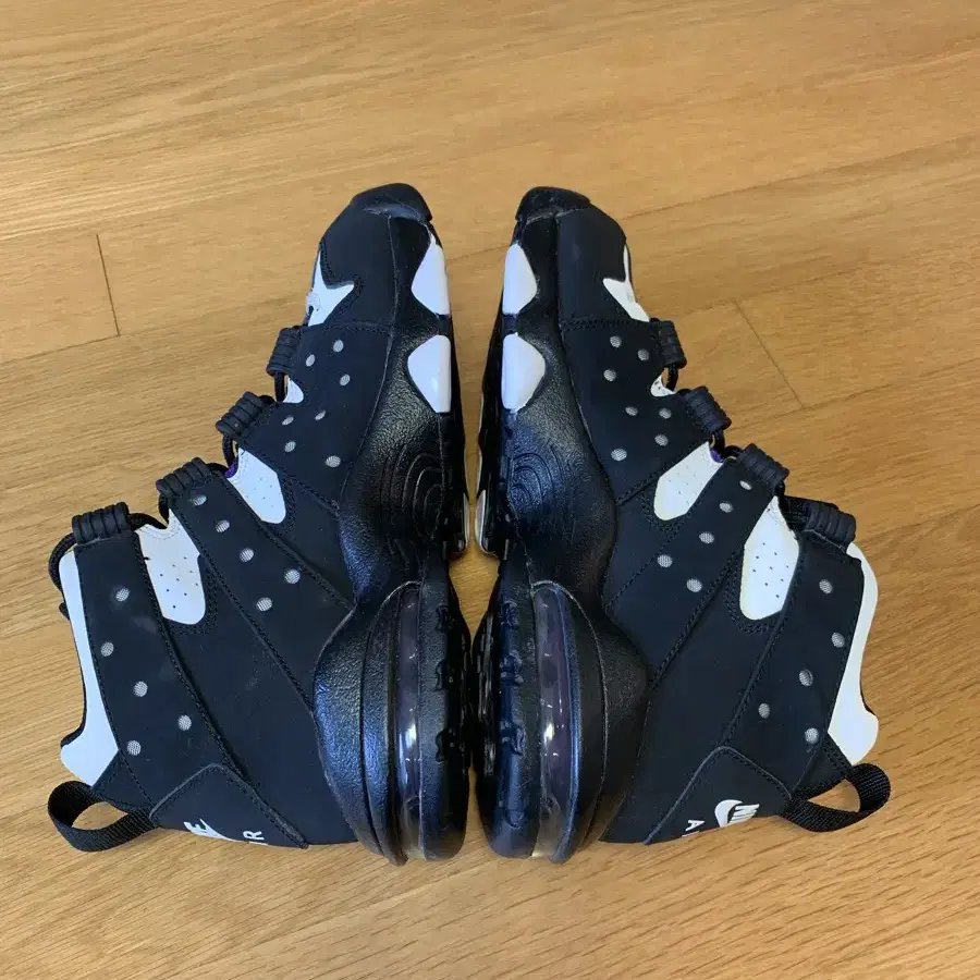 AIR MAX CB 94 (GS) 250