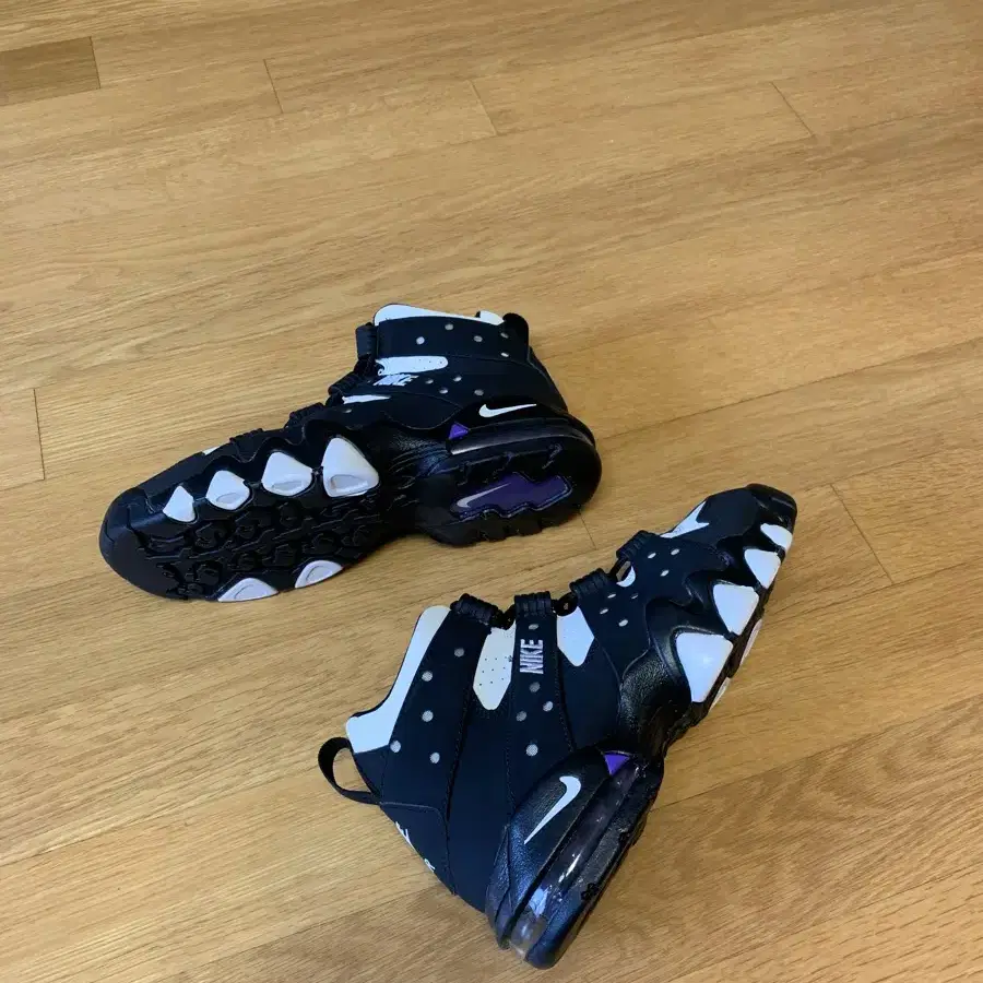 AIR MAX CB 94 (GS) 250