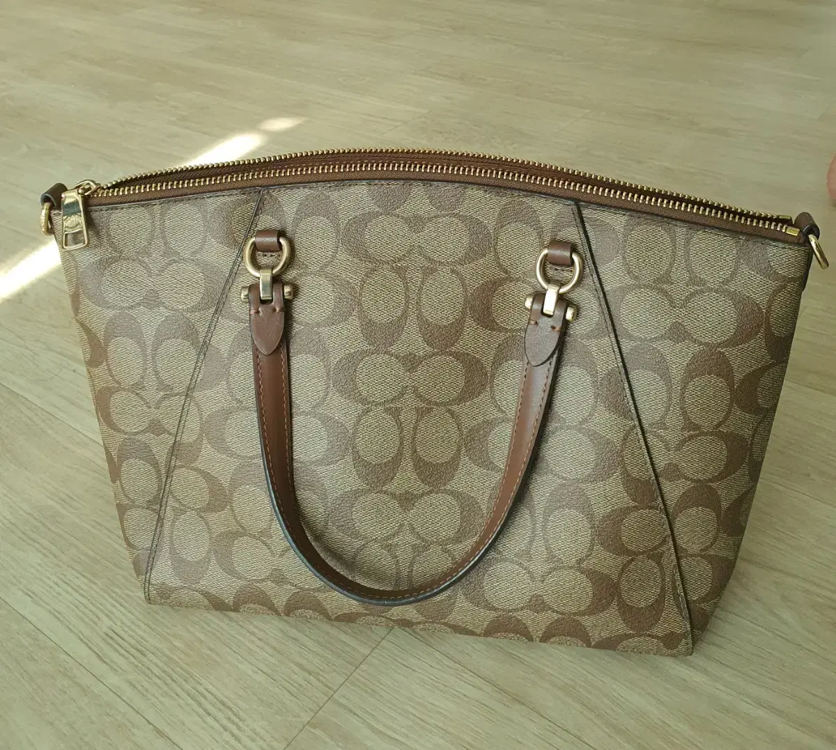 Female handbag (coach)