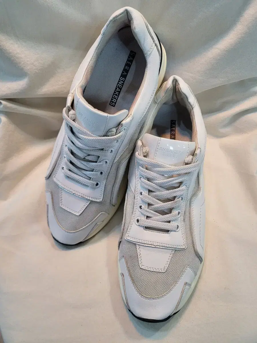 세라 스니커즈 saera sneakers 남성 운동화 스니커즈 265