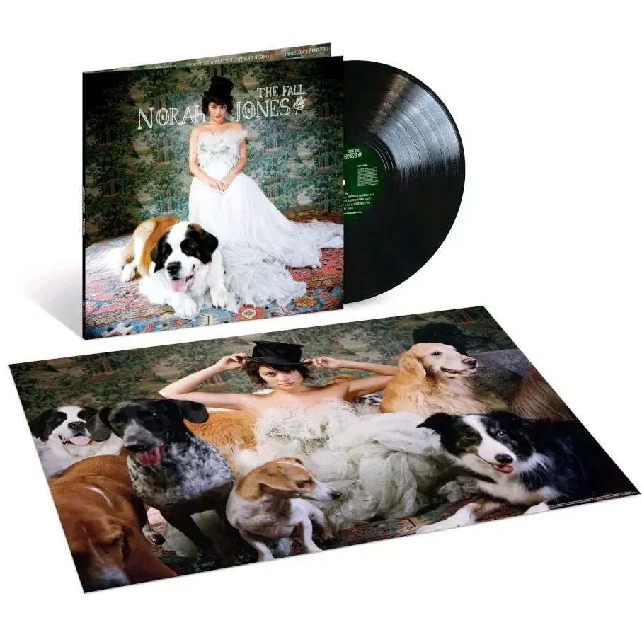 Norah Jones LP  노라 존스 LP 4집 The Fall LP