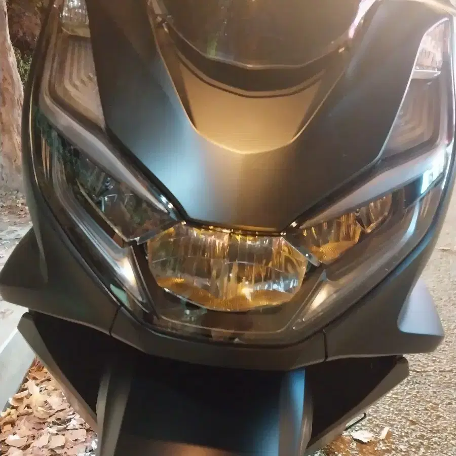 pcx125 24년12월 리스승계할실분