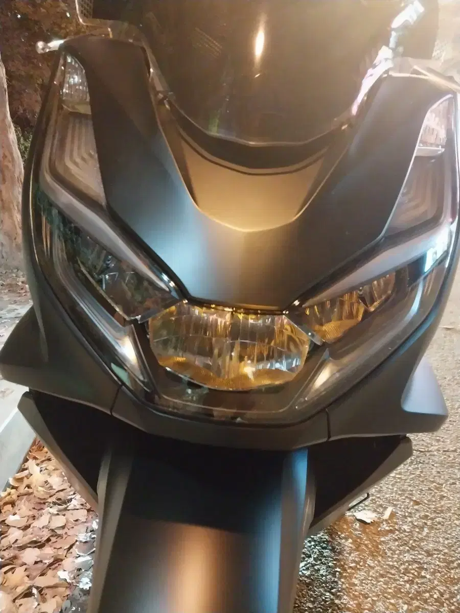 pcx125 24년12월 리스승계할실분