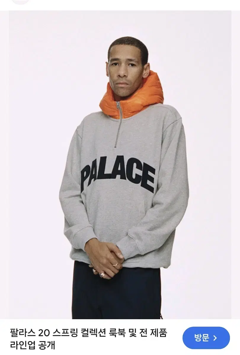 Palace 팔라스 푸퍼 후드티  20ss