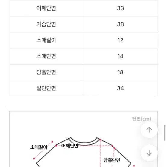 나비 크롭 반팔티 화이트