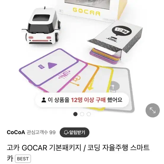 자율주행 자동차 go car