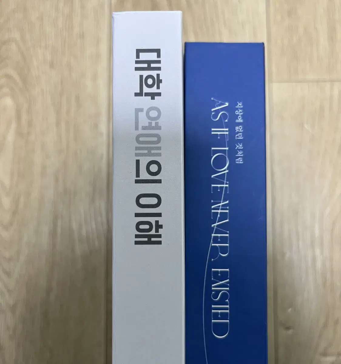 엔시티 엔페스 재도 소장본 지상에 없던 것처럼 대학 연애의 이해