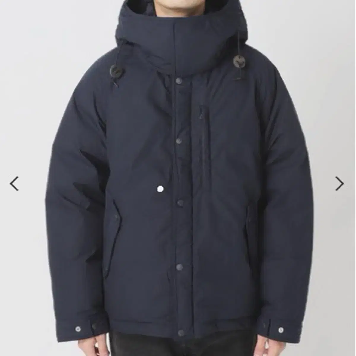 The North Face 노스페이스 퍼플라벨 65/35 마운틴 파카 L