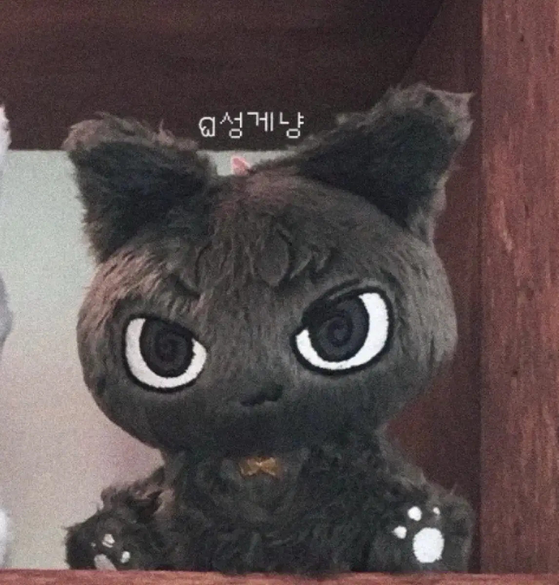 삐넥도 성게냥 보넥도 성호 인형