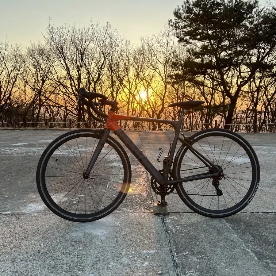 사바 캠프 로드자전거 팝니다