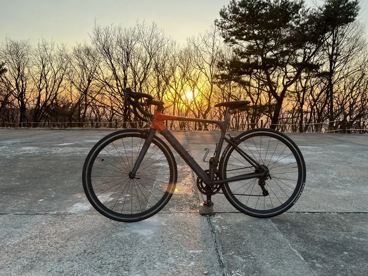 사바 캠프 로드자전거 팝니다