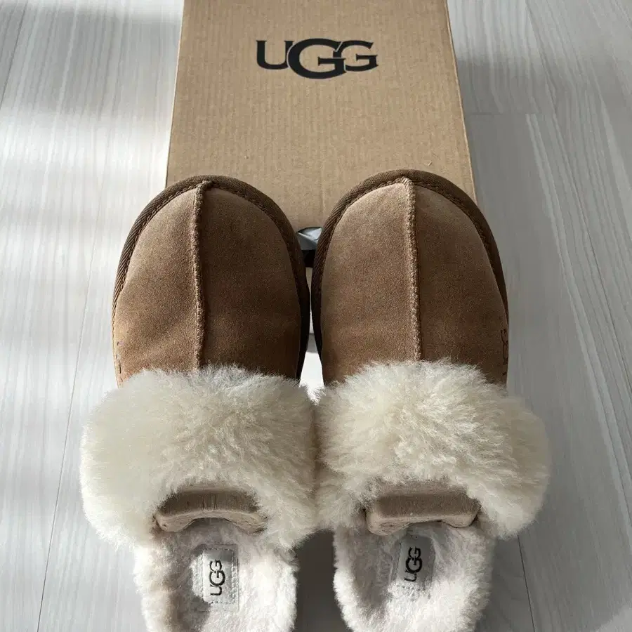 미국 어그 UGG 코지