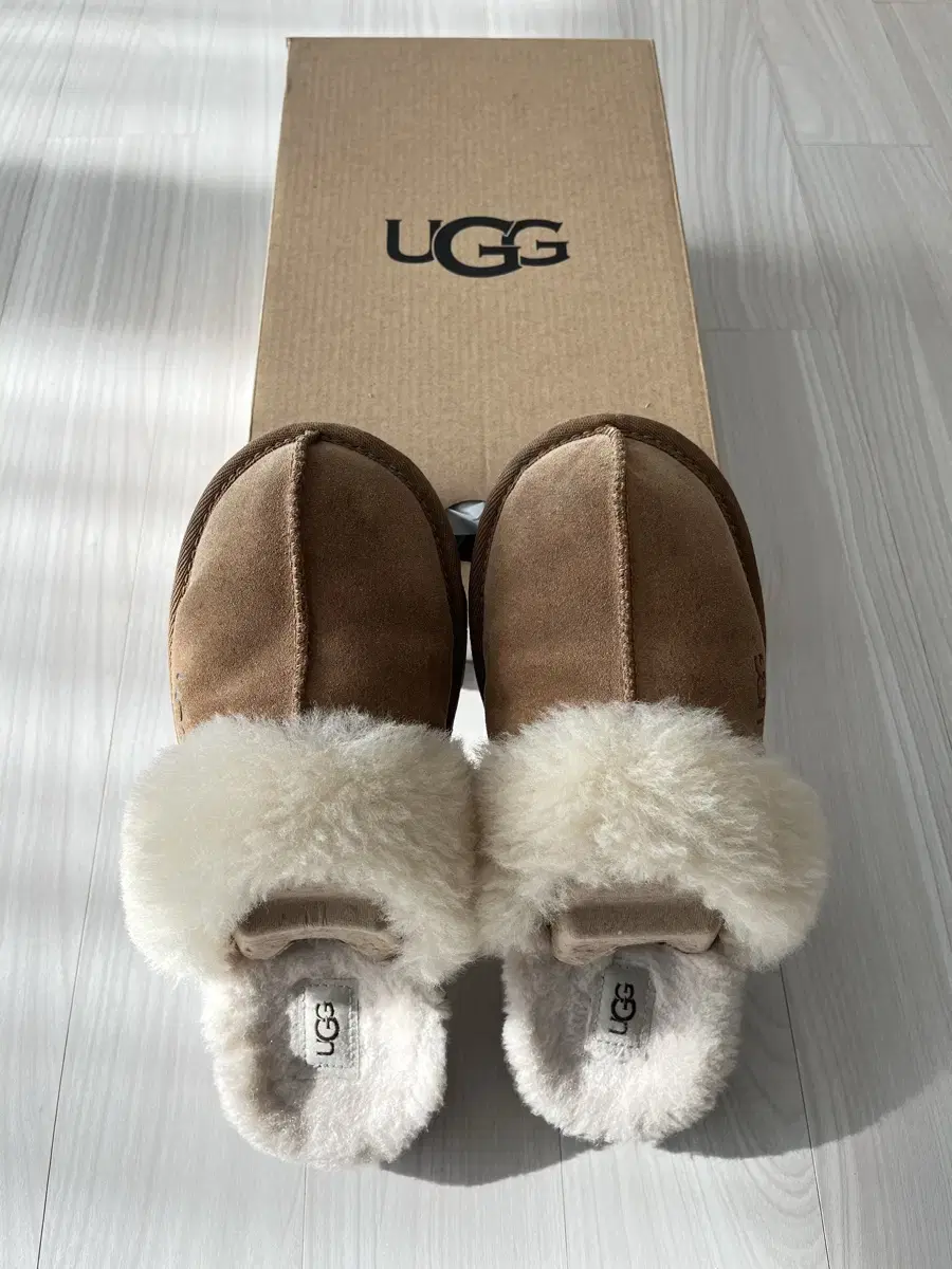 미국 어그 UGG 코지