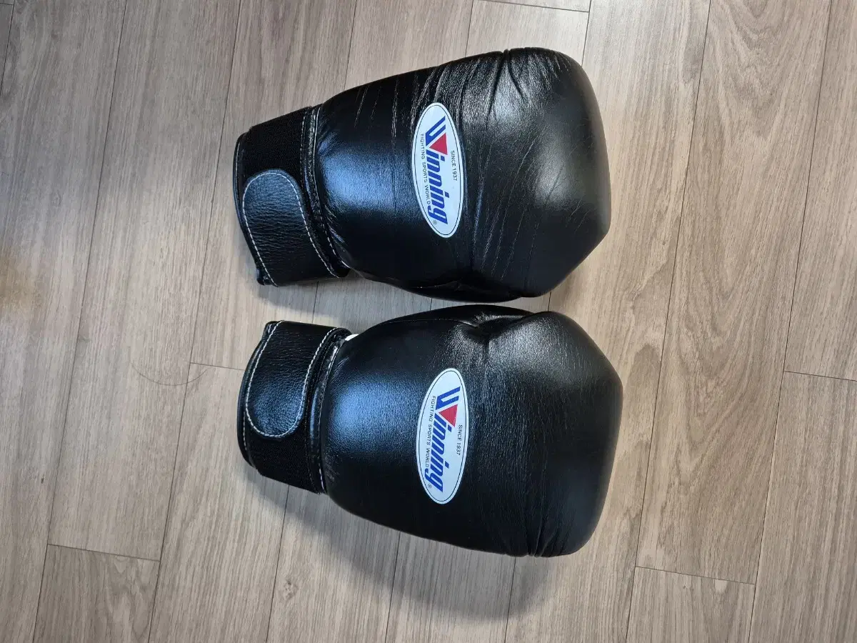 Winning 10 oz Boxing Gloves