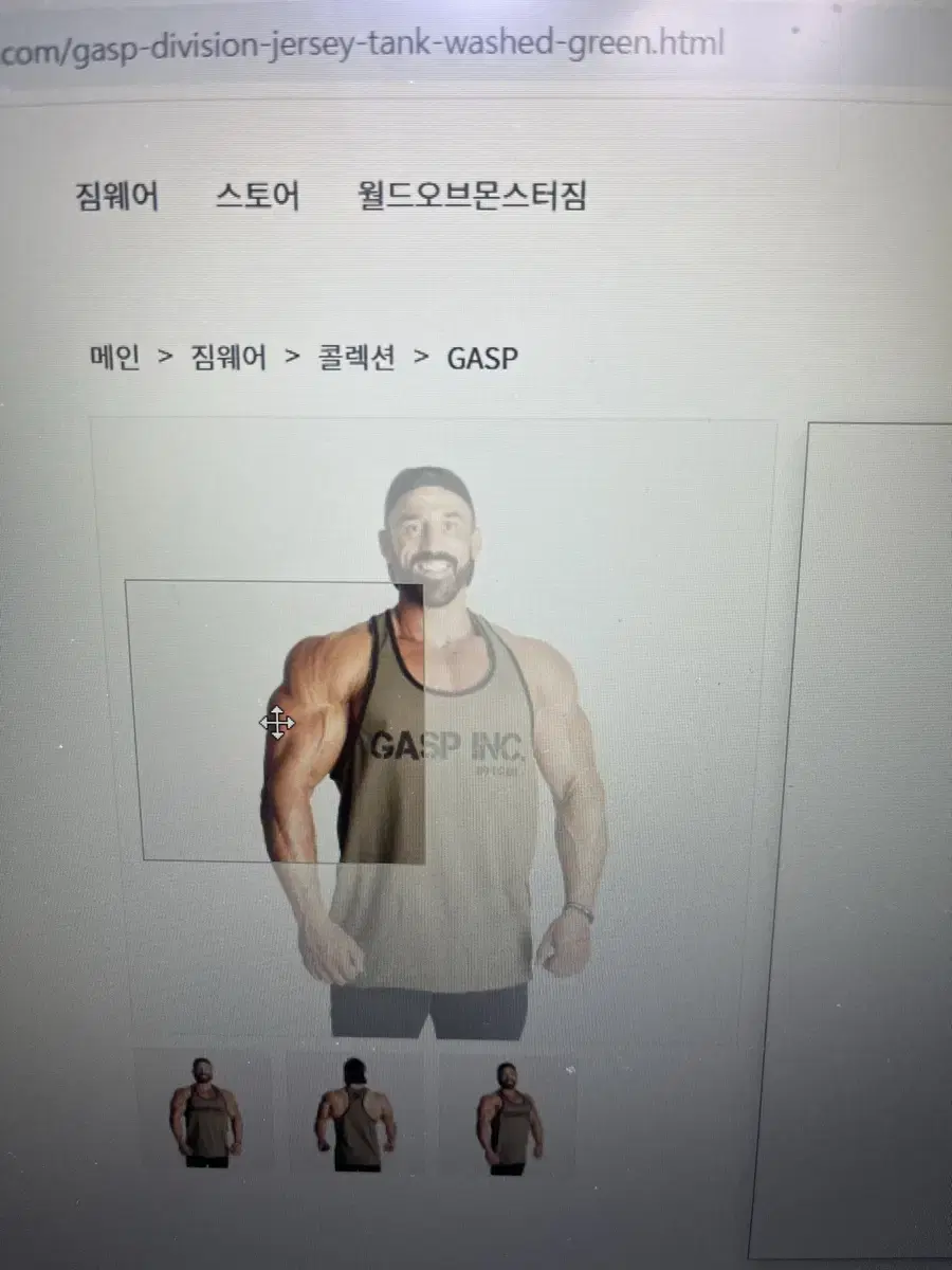 가스프나시 L