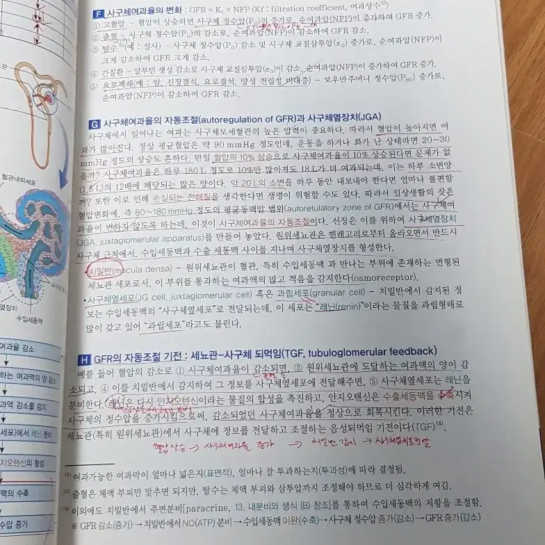 은학사 인체 생리학