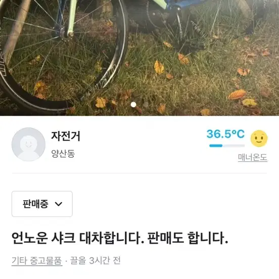 언노운 샤크