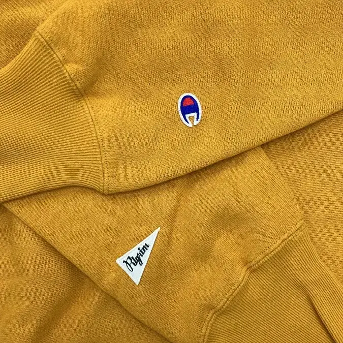 Pilgrim surf supply X champion L