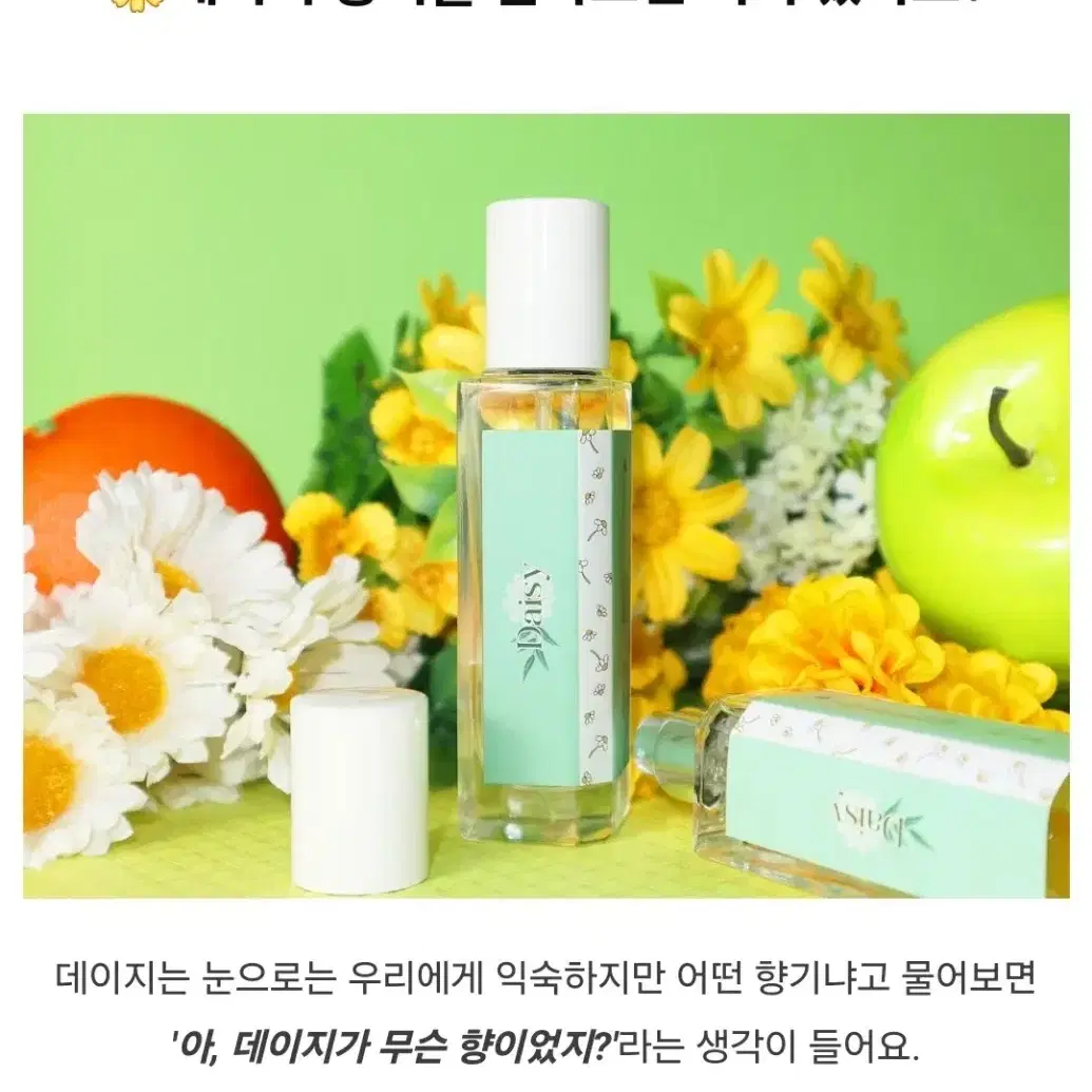 텀블벅 향수 원가 28900원 샤크쥬르 데이지 오드퍼퓸 30ml