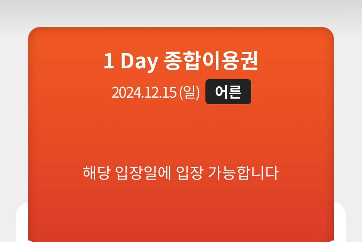 12/15롯데월드 티켓