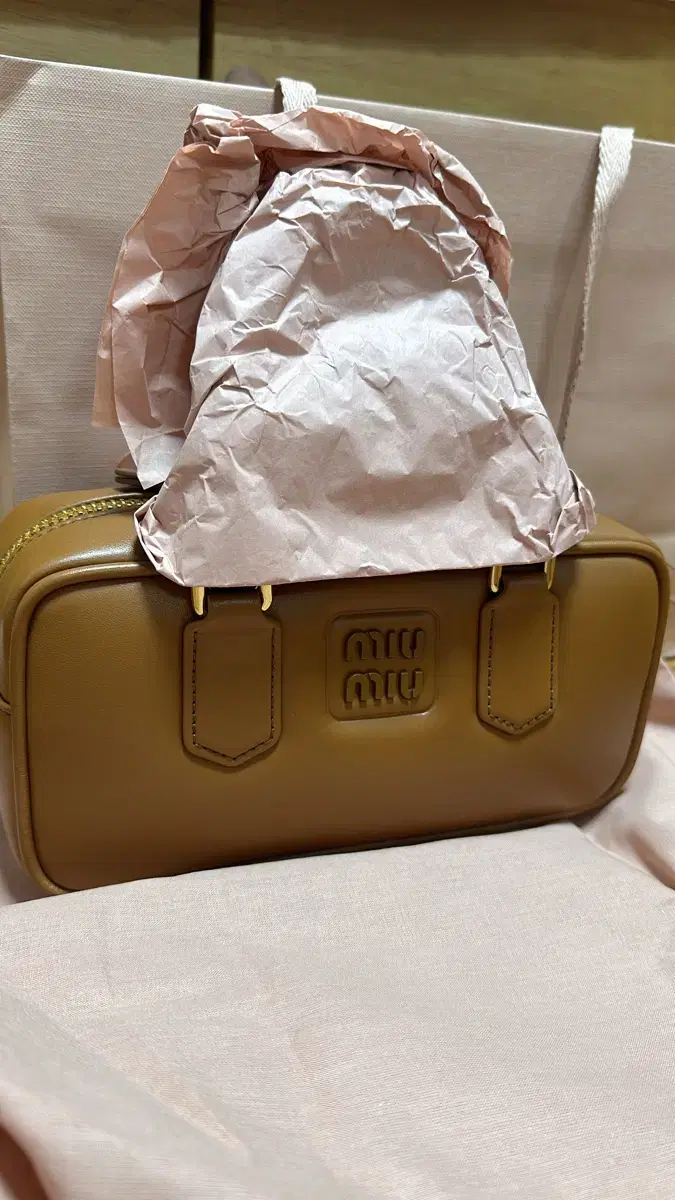 Miu Miu Arcadie Bag for sale