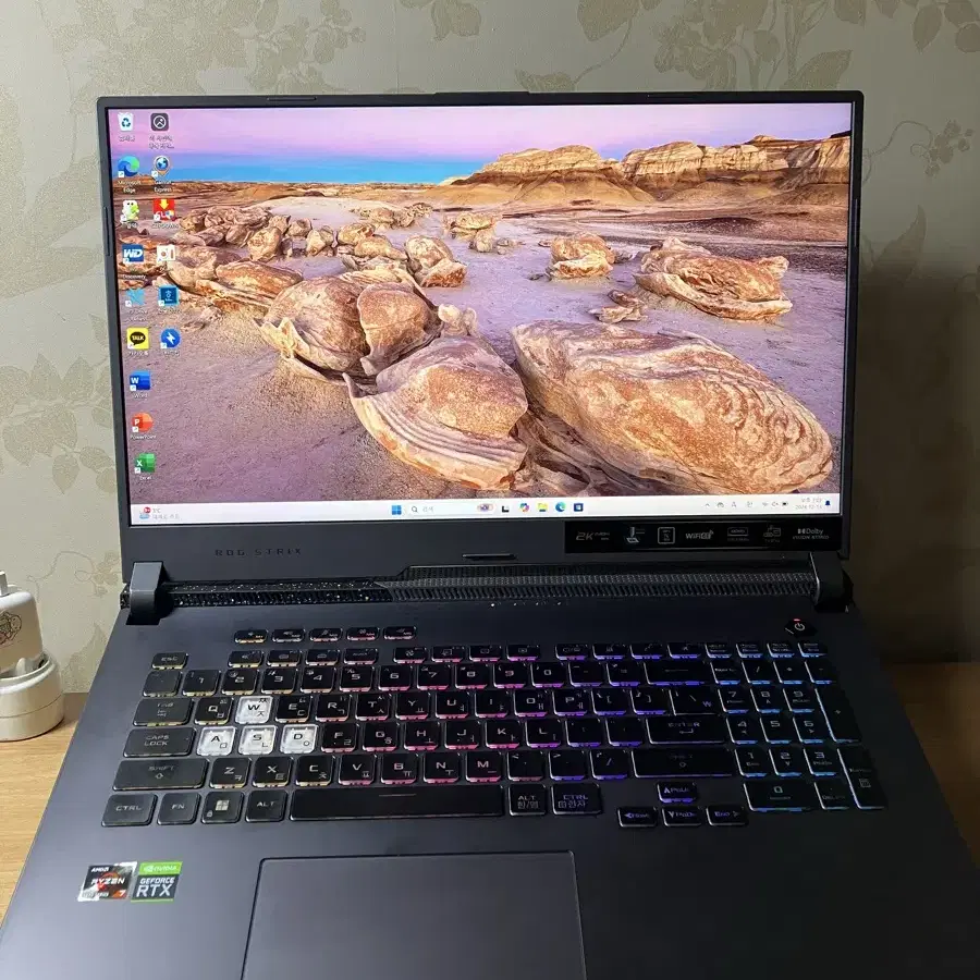 Asus rog strix g17 g713rm-ll121 + 17인치 샘