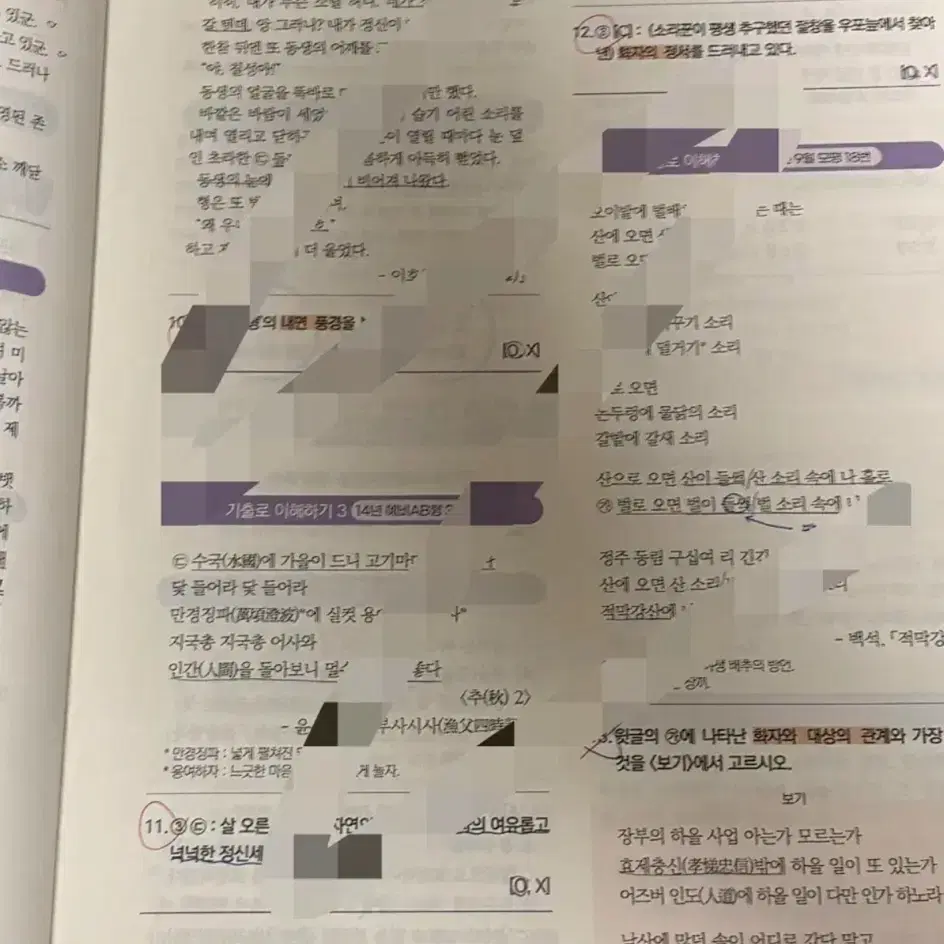 (13권) 강남대성 국어 교재 모음