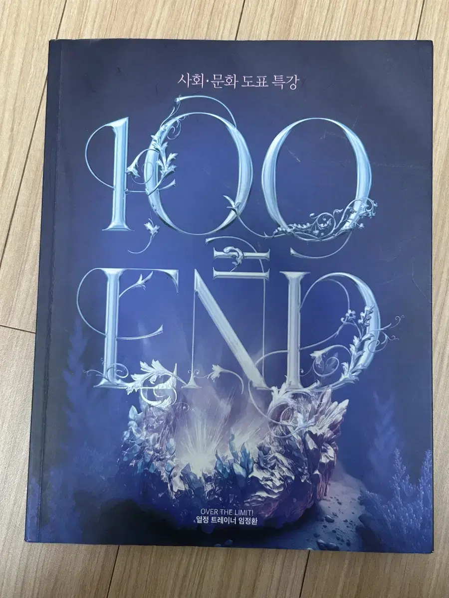 임정환 100end