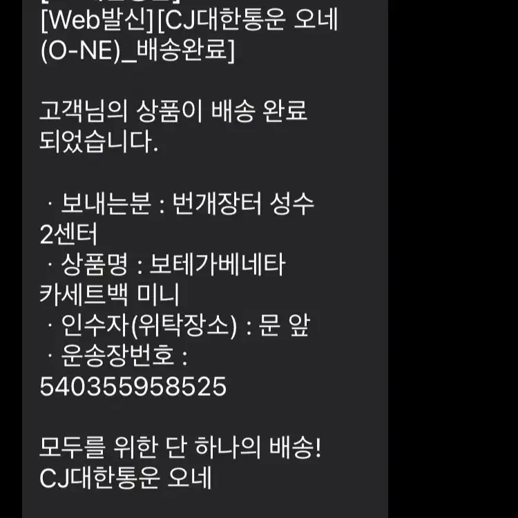 보테가베네타 인트레치아토 미니 카세트백 666688