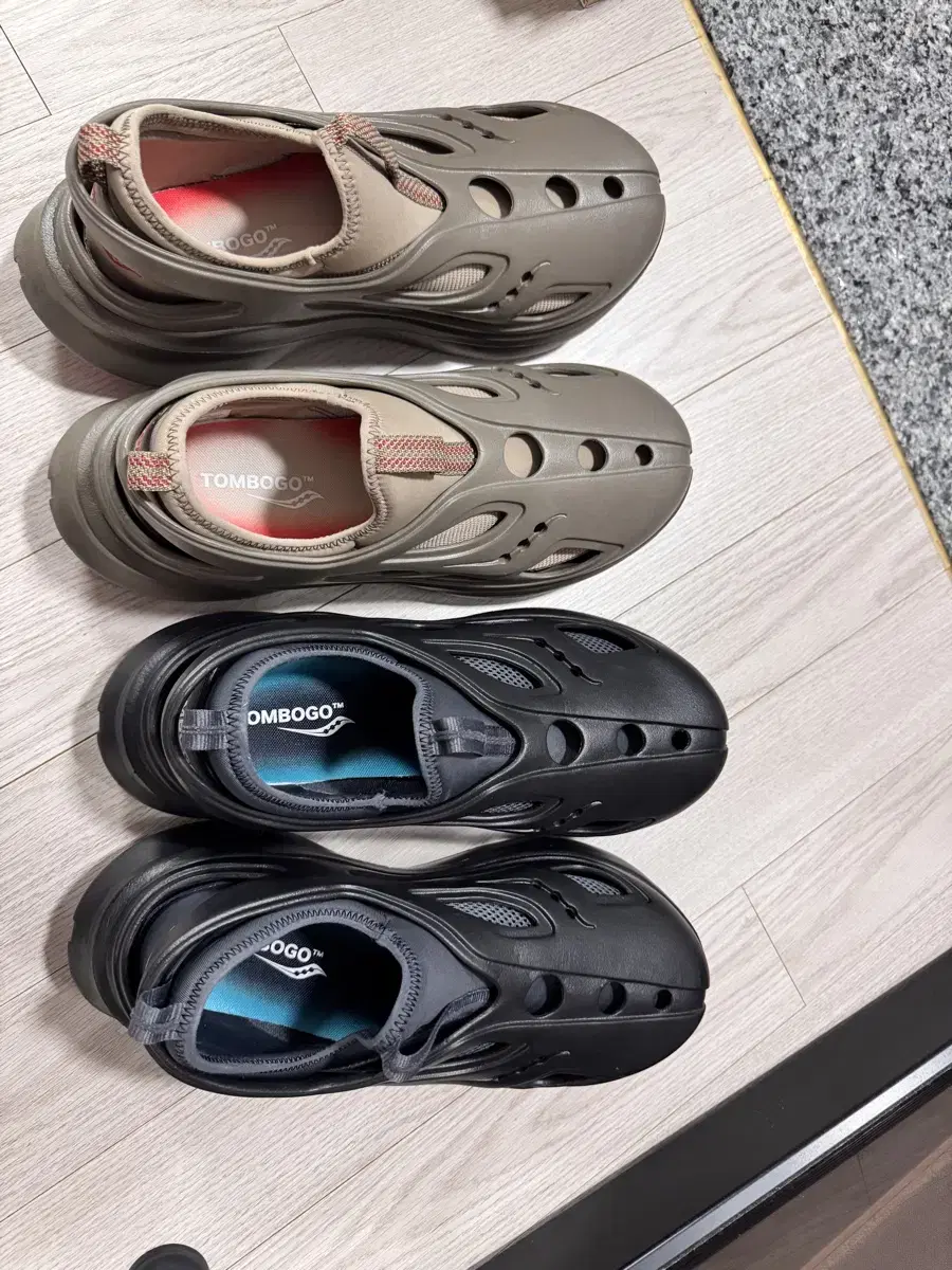 톰보고 x 써코니 버터플라이 블랙,브라운 290