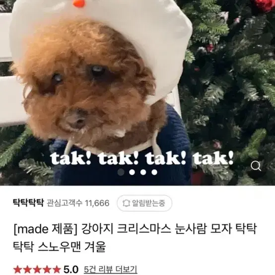 강아지 고양이 눈사람 모자