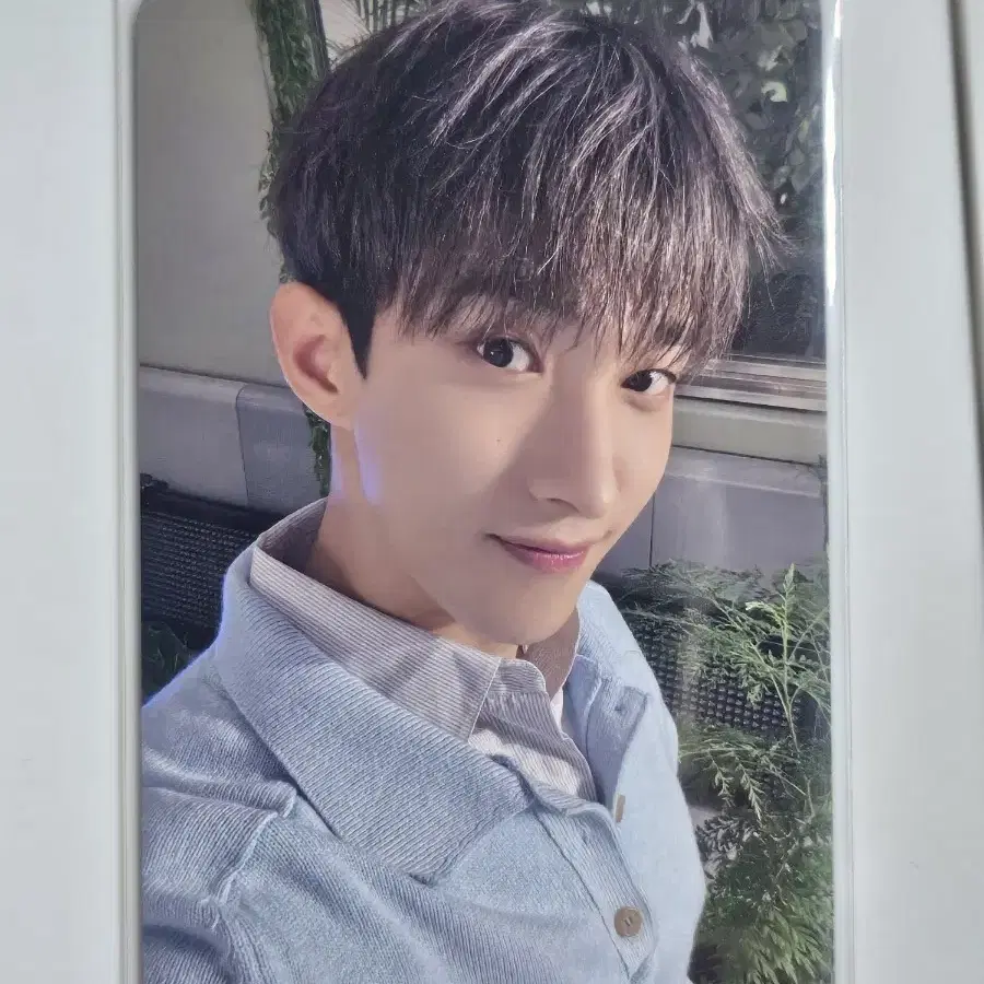 세븐틴 도겸 소비기한 타워레코드 특전