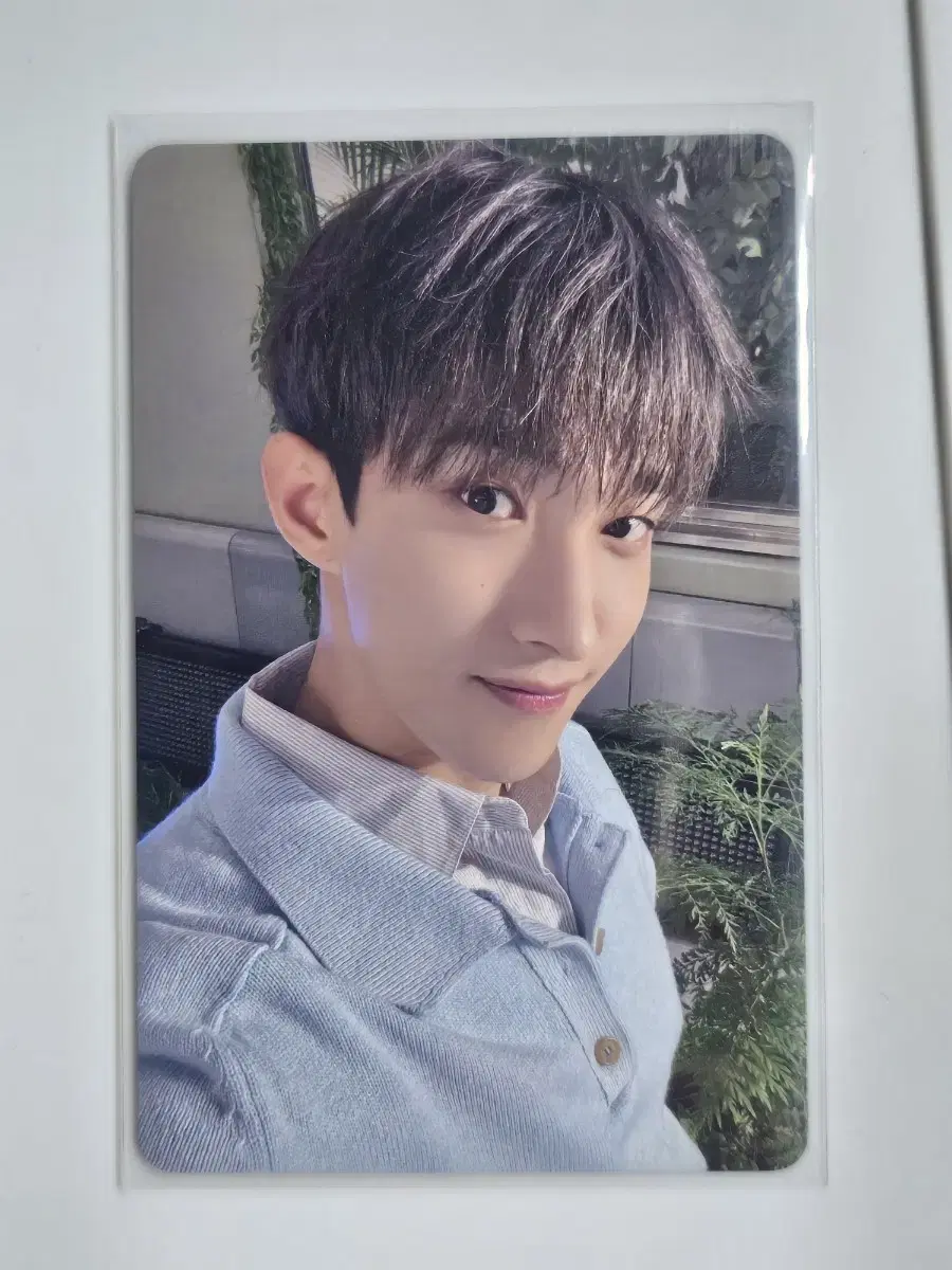 세븐틴 도겸 소비기한 타워레코드 특전