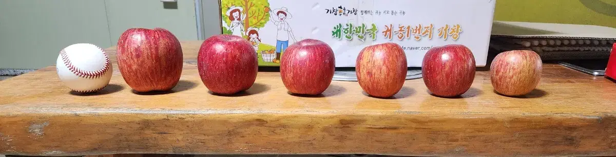 산지직송 거창 새콤달콤 고랭지부사사과