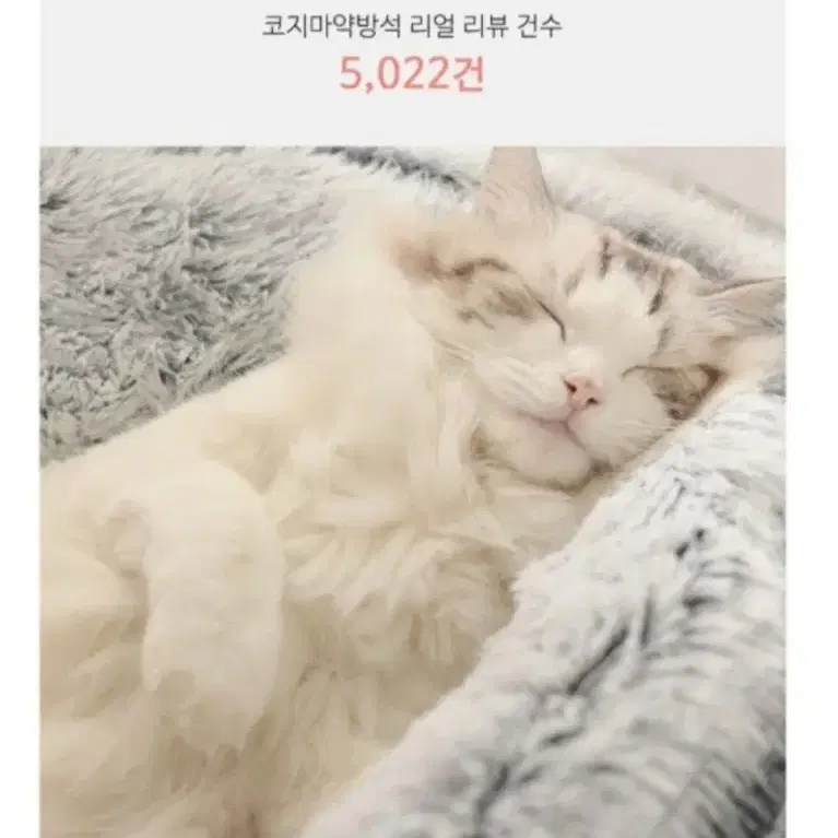 고양이 숨숨마약방석 숨숨집 새재품 s사이즈