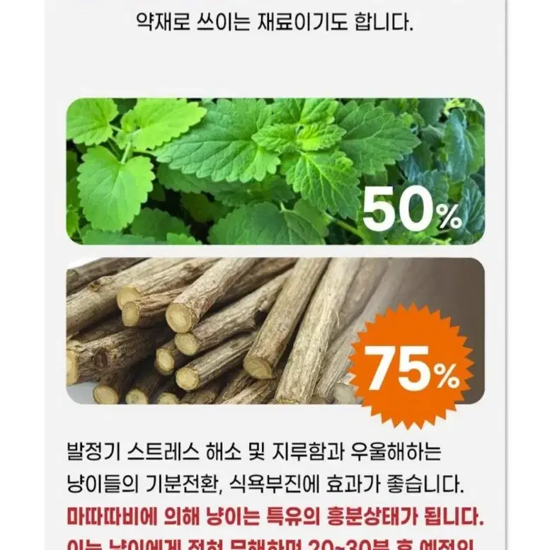 싸게가져가세요 고양이 스크래쳐,마따따비,낚시대,레이저낚시대,캣닢 장난감