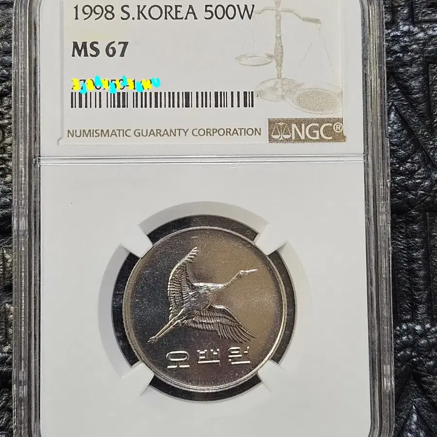 1998년 500주 67등급 특년.