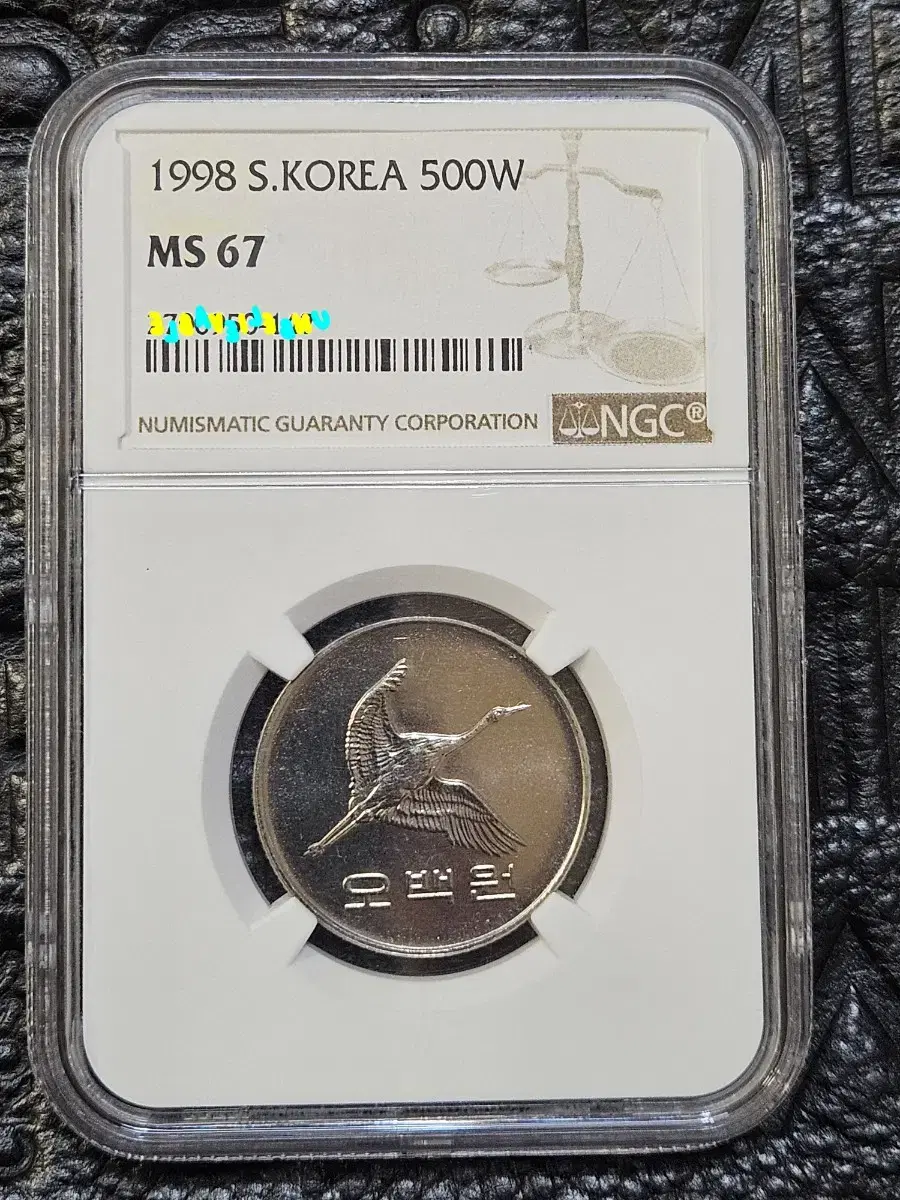 1998년 500주 67등급 특년.