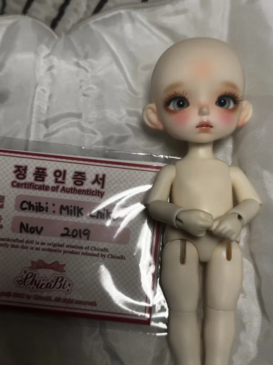 치카비 밀크 치코