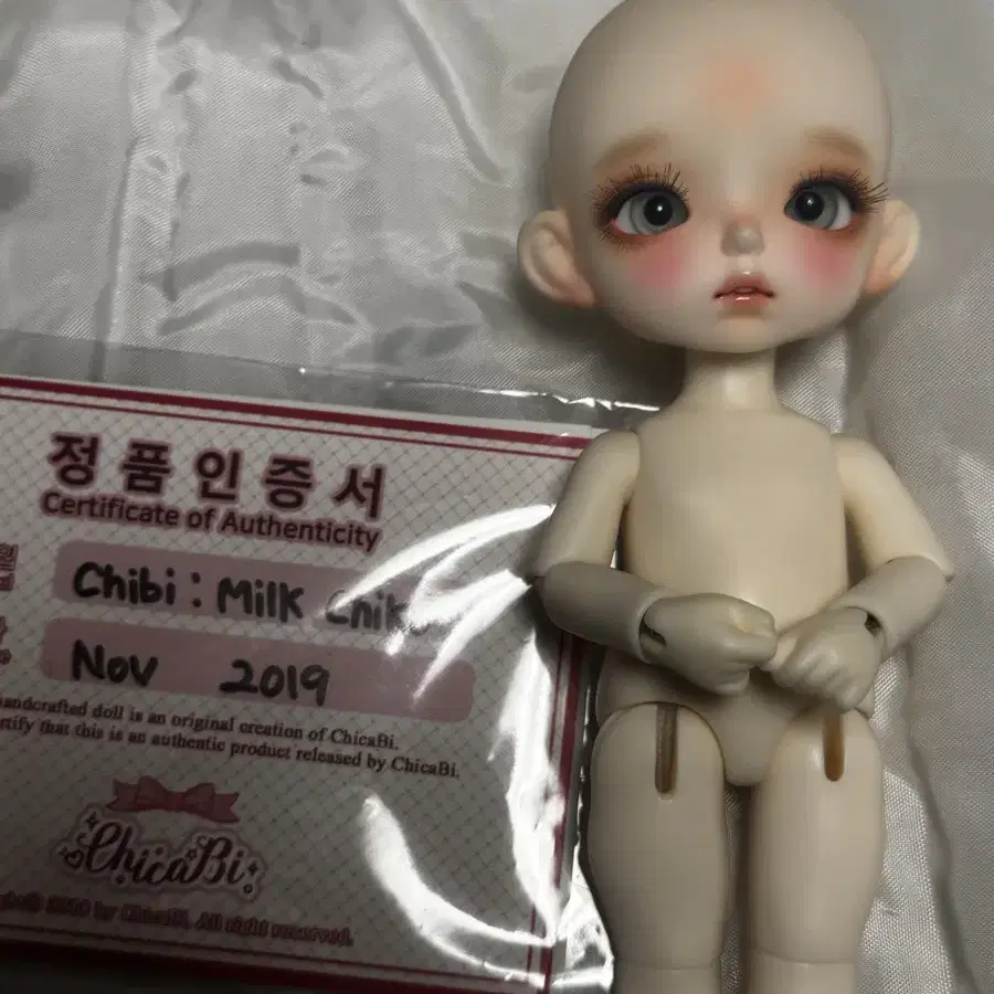 치카비 밀크 치코