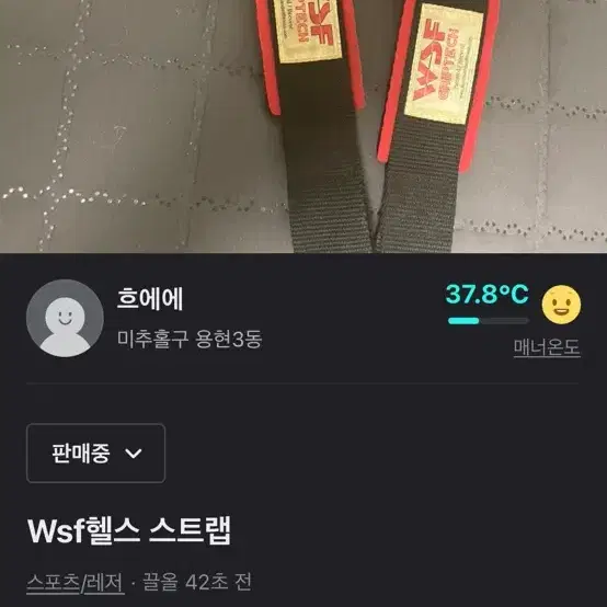 Wsf 헬스 스트랩