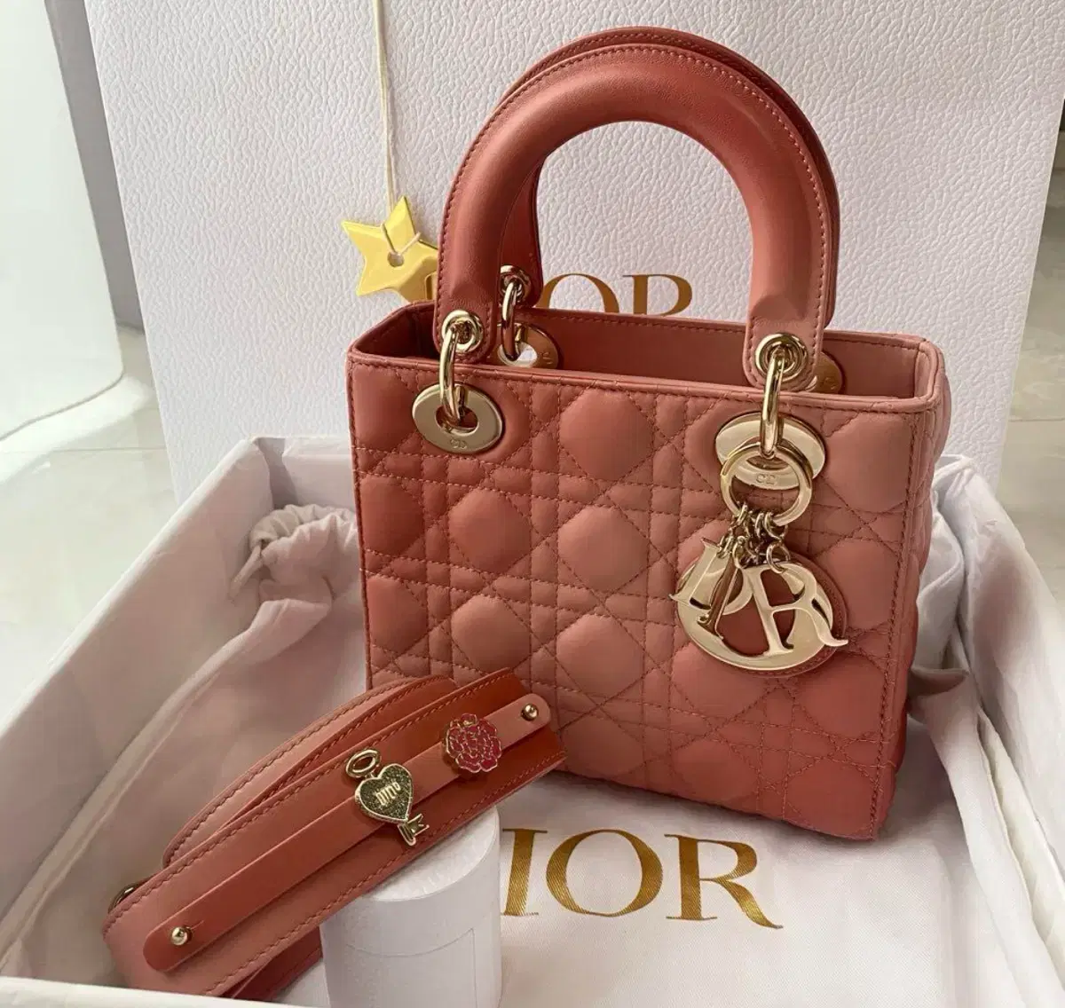 초희귀 Dior lady dior 핑크 레이디 디올 그라데이션