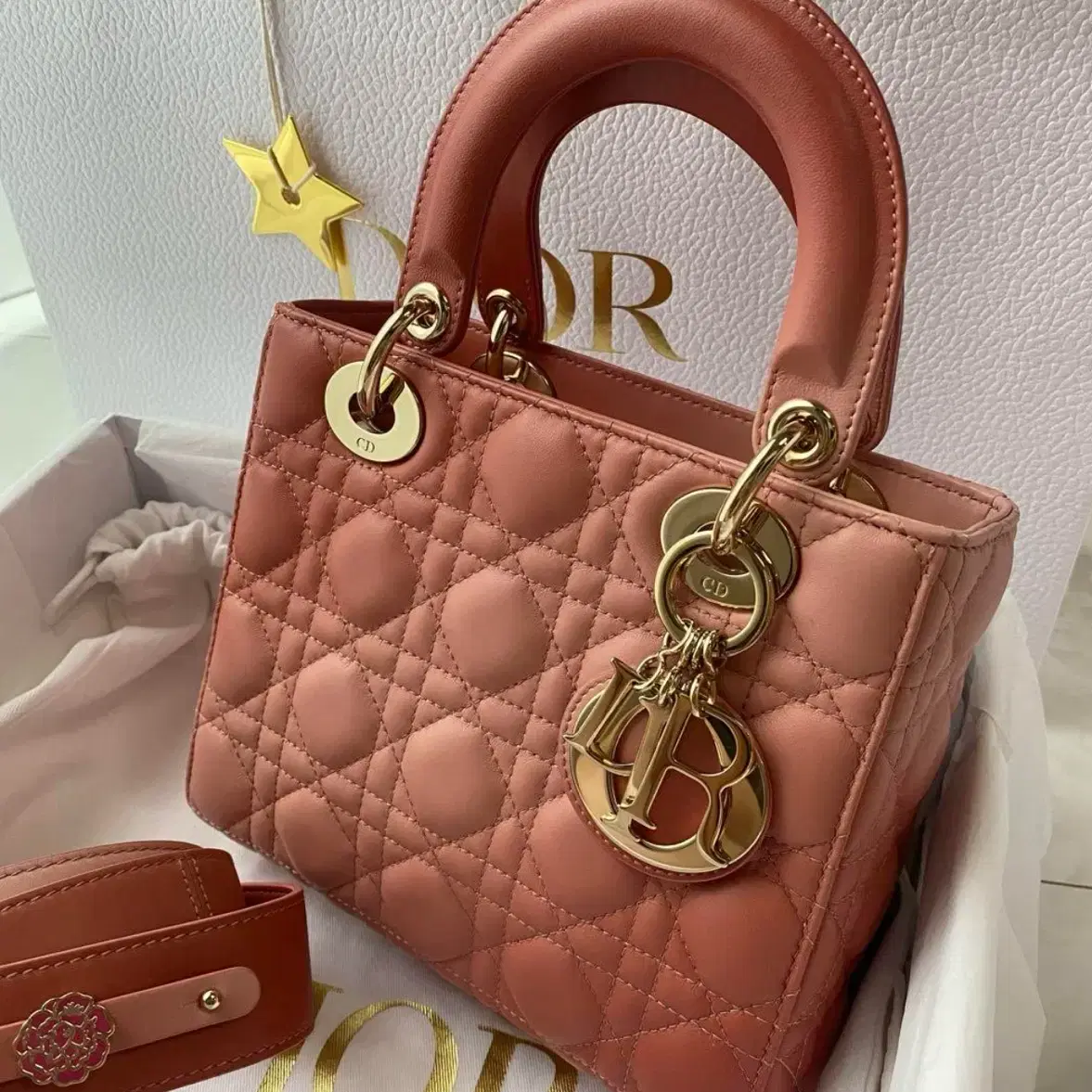 초희귀 Dior lady dior 핑크 레이디 디올 그라데이션