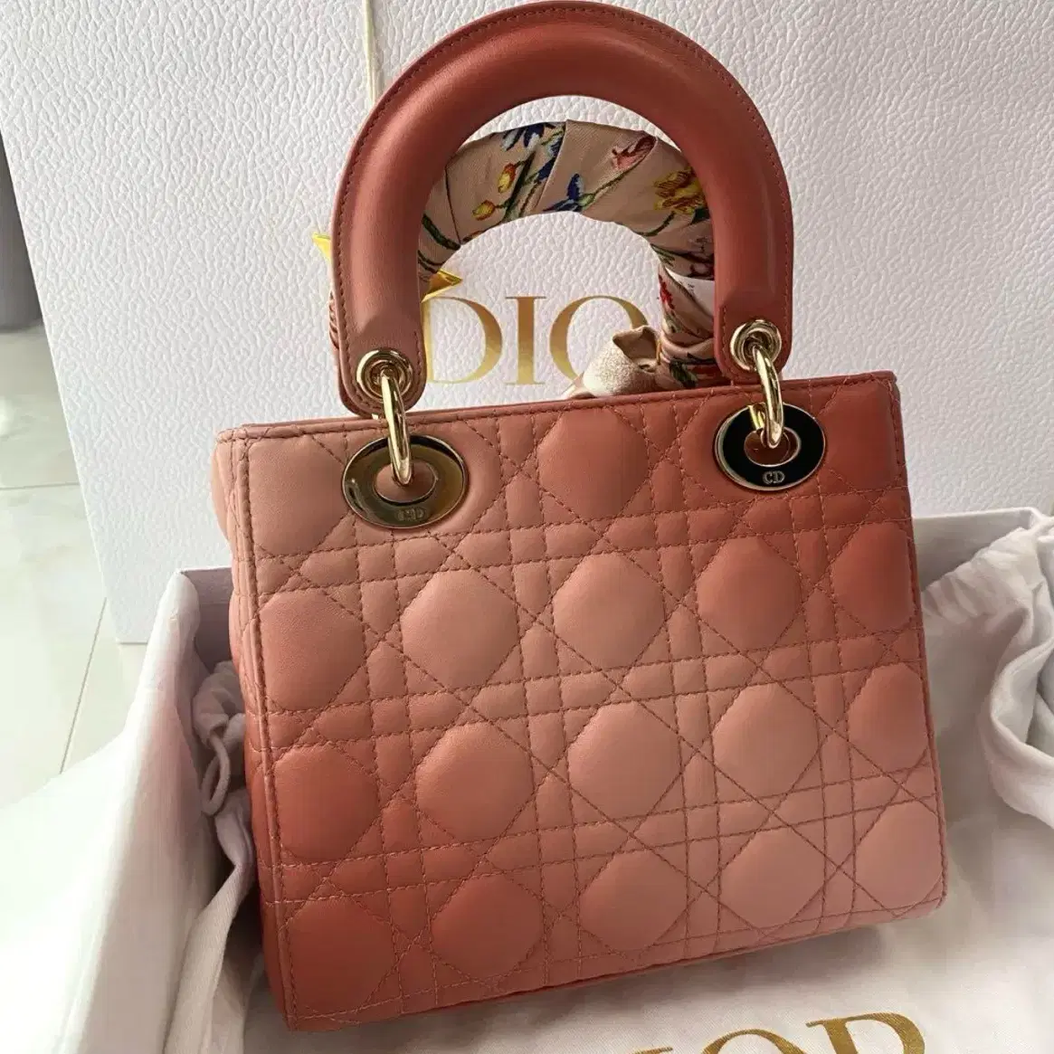 초희귀 Dior lady dior 핑크 레이디 디올 그라데이션