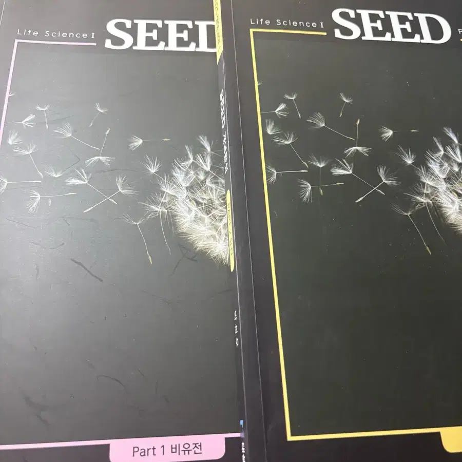 박선우T SEED 생명1