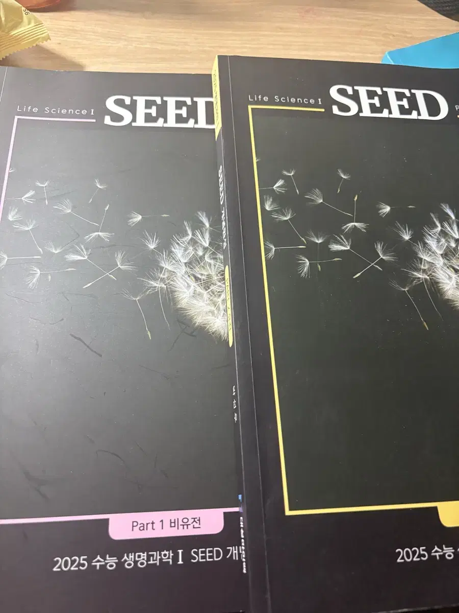 박선우T SEED 생명1