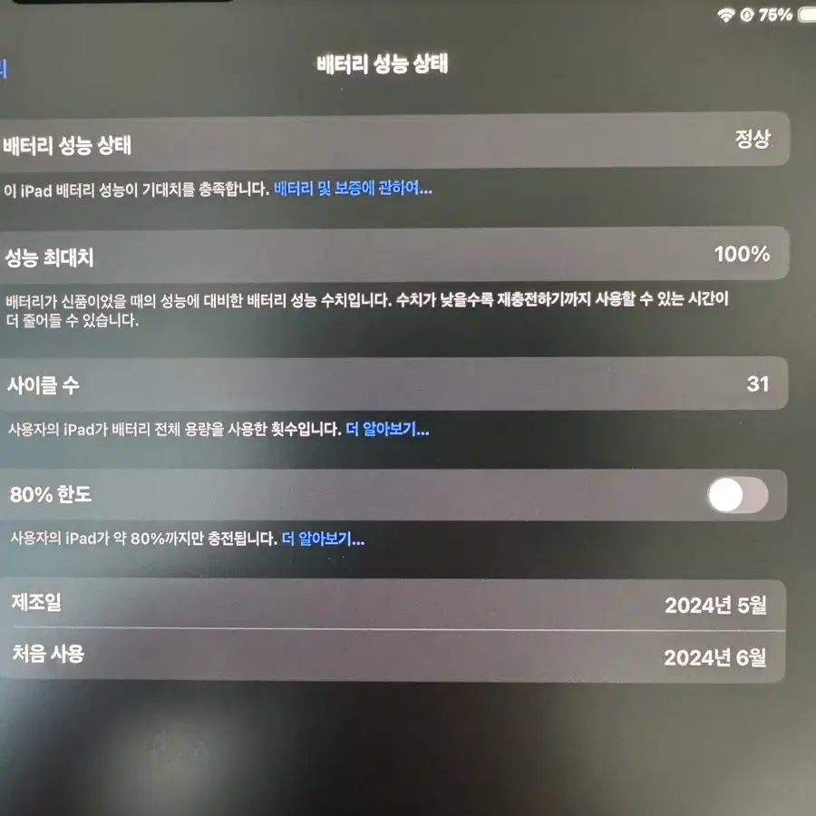 아이패드 프로 11 실버 256gb wifi