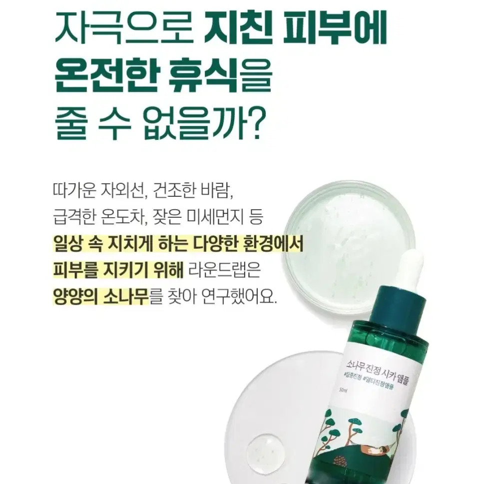 라운드랩 소나무 진정 시카 앰플 50ml