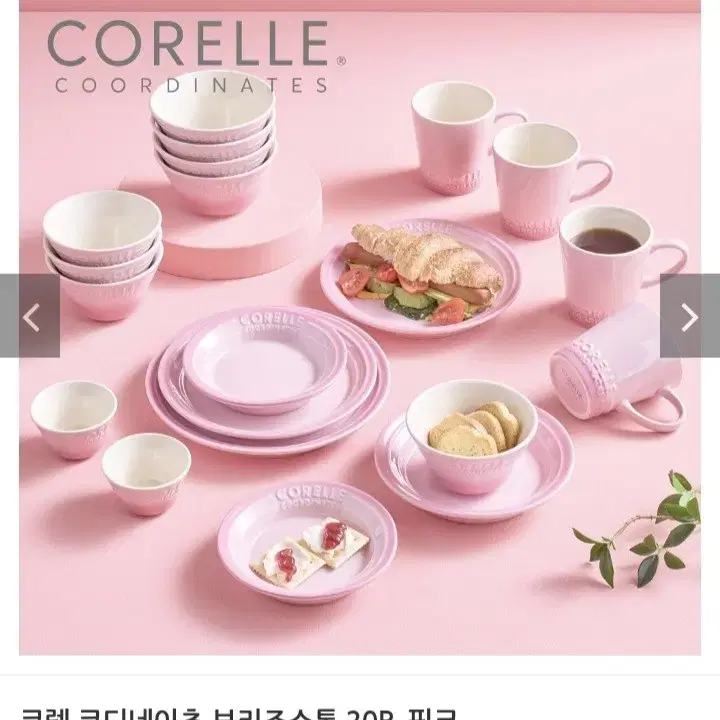 사은품)백옥생 발효홍삼공방활력3종+코렐식기세트20p(38만원상당)