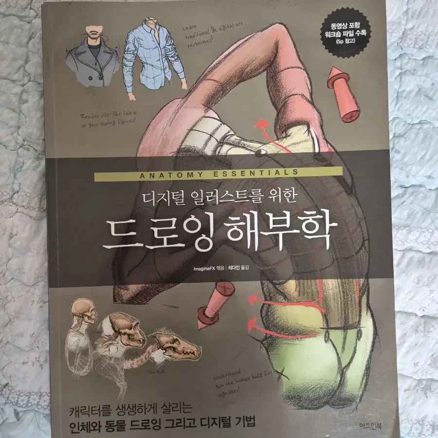 드로잉 해부학